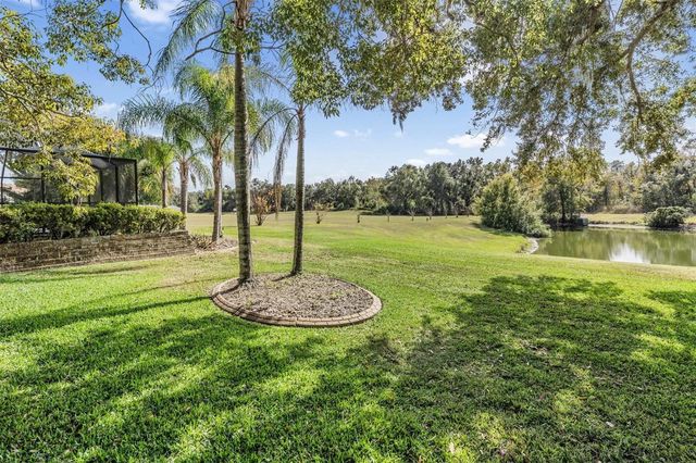 3911 LITHIA RIDGE BOULEVARD, Valrico, FL 33596