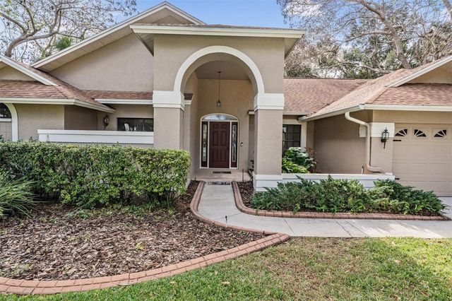 3911 LITHIA RIDGE BOULEVARD, Valrico, FL 33596