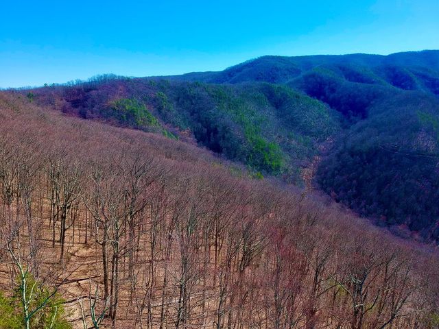 1-A RAVENS DEN Way, Sevierville, TN 37862