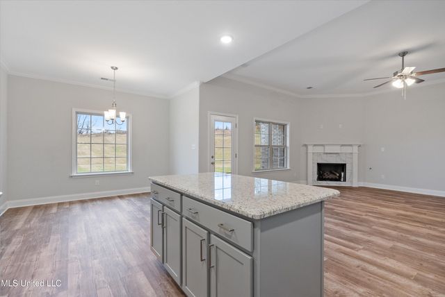 1734 Winningham Drive, Hernando, MS 38632