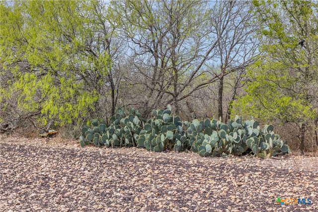 5340 Dreibrodt, San Marcos, TX 78666