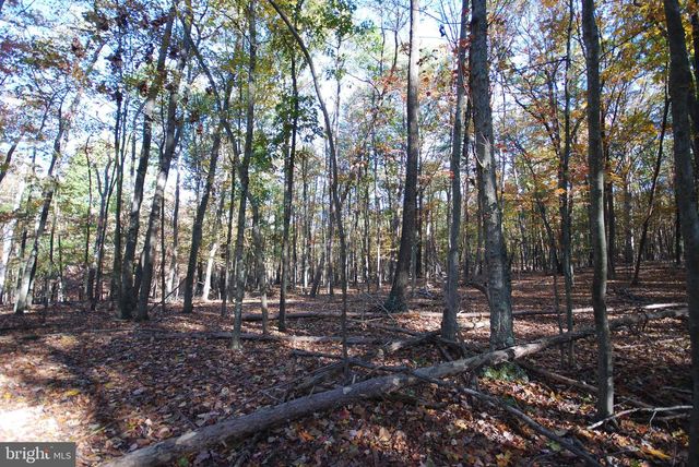 LOT 17 GAITHER RD, Great Cacapon, WV 25422