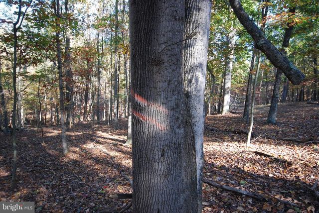 LOT 17 GAITHER RD, Great Cacapon, WV 25422