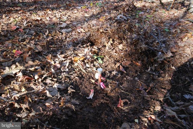 LOT 17 GAITHER RD, Great Cacapon, WV 25422