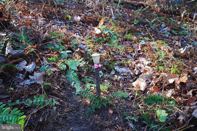 LOT 17 GAITHER RD, Great Cacapon, WV 25422