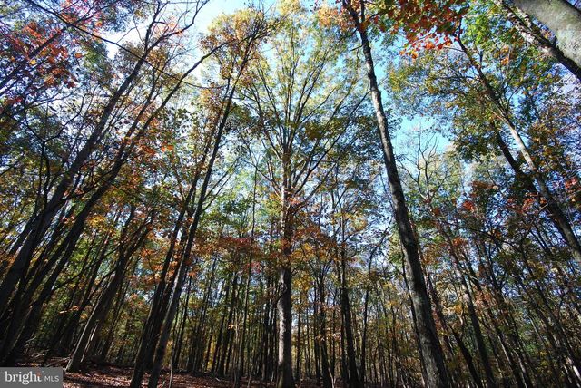 LOT 17 GAITHER RD, Great Cacapon, WV 25422