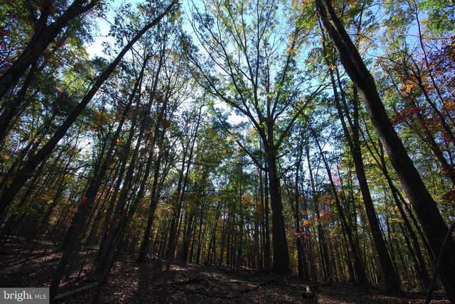 LOT 17 GAITHER RD, Great Cacapon, WV 25422