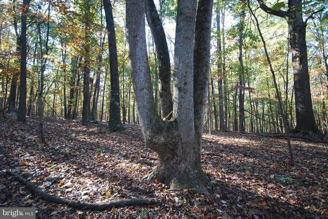 LOT 17 GAITHER RD, Great Cacapon, WV 25422