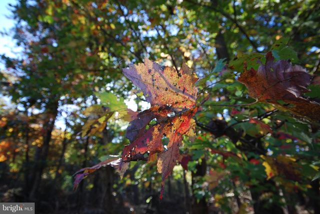 LOT 17 GAITHER RD, Great Cacapon, WV 25422