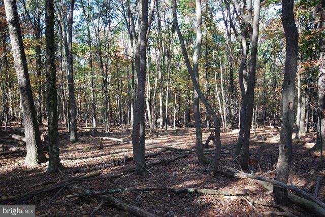 LOT 17 GAITHER RD, Great Cacapon, WV 25422