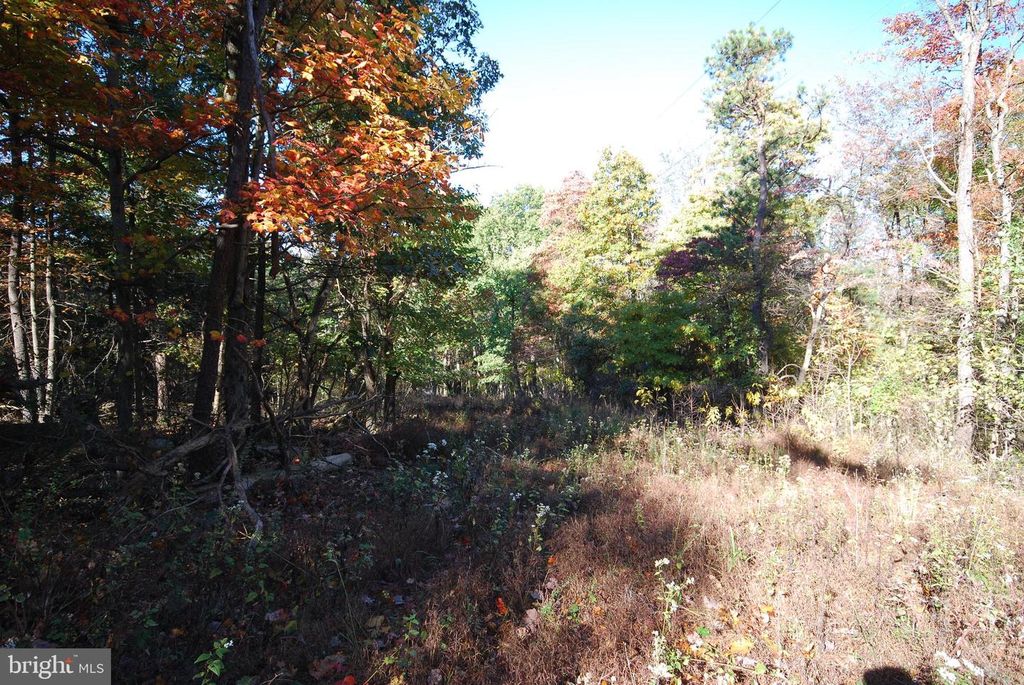 LOT 17 GAITHER RD, Great Cacapon, WV 25422