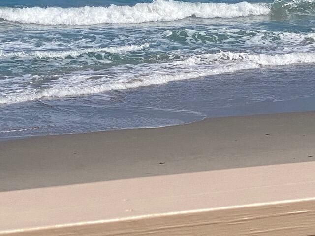 500 Ocean Drive E-1a, Juno Beach, FL 33408