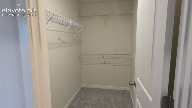 5135 Omeara Court, Colorado Springs, CO 80925