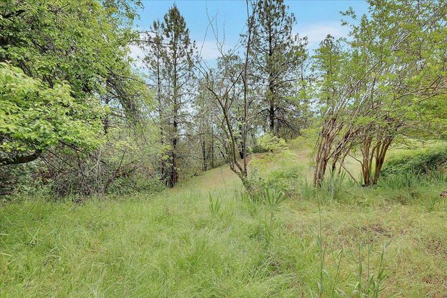 2539 Morrene Dr, Placerville, CA 95667