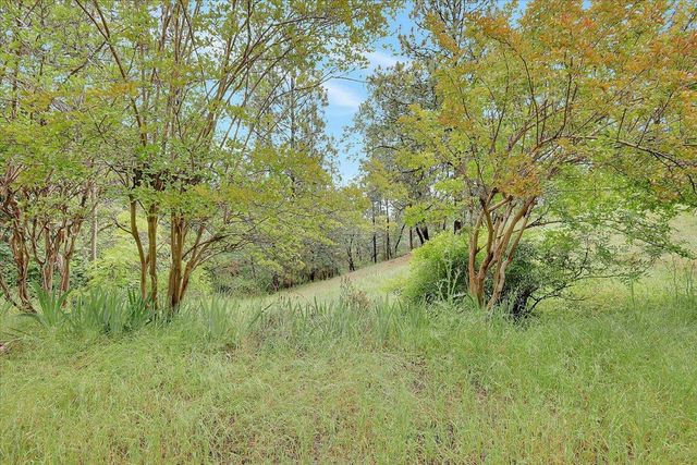 2539 Morrene Dr, Placerville, CA 95667