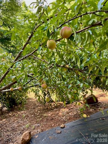 262 Azalea Hills Lane, Spruce Pine, NC 28777