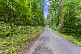 Tbd Speedwell Lane, Bulls Gap, TN 37711
