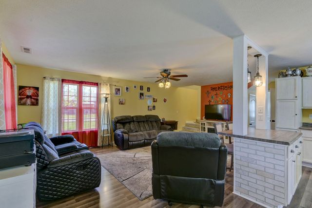 22419 Trout Street, Golden, MO 65658
