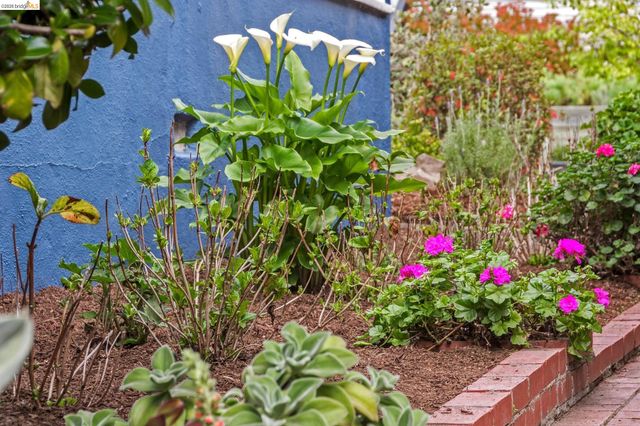 2465 Alida St, Oakland, CA 94602