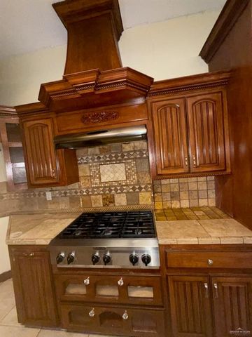 2602 Santa Esperanza Street, Mission, TX 78572
