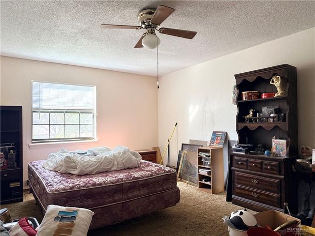 603 S Alamo Road, Alamo, TX 78516