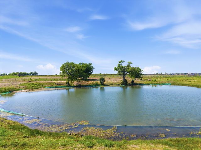 487 Cornelius, Rockwall, TX 75087