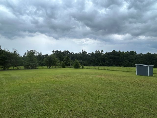 475 Gary Rd, Slocomb, AL 36375