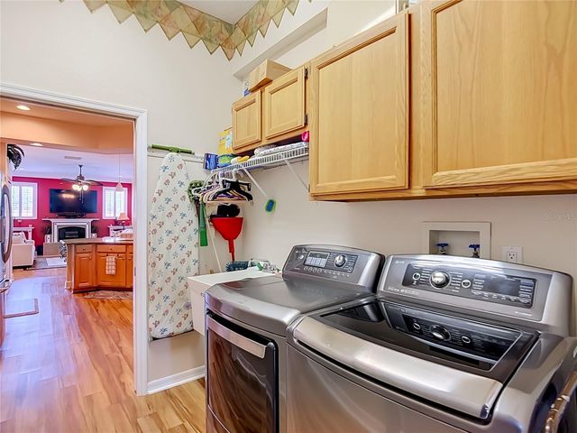 3350 PENDLETON WAY, Land O Lakes, FL 34639