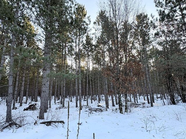 West 10 Acres WILDERNESS LANE, Wisconsin Rapids, WI 54494