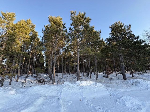 West 10 Acres WILDERNESS LANE, Wisconsin Rapids, WI 54494
