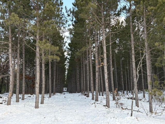 West 10 Acres WILDERNESS LANE, Wisconsin Rapids, WI 54494