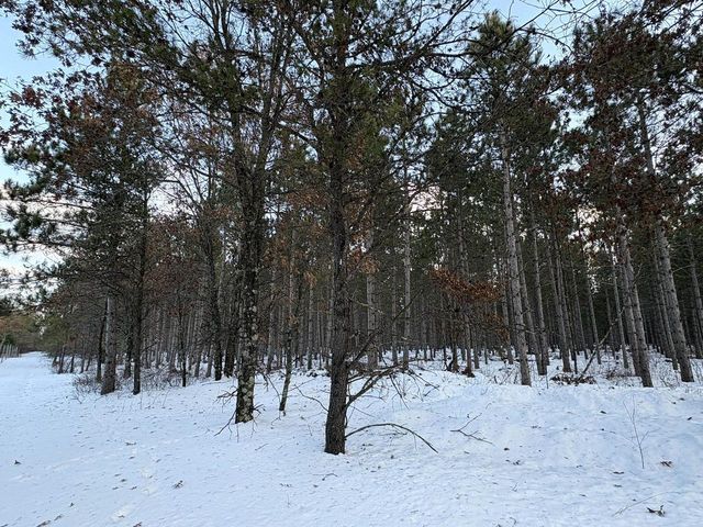 West 10 Acres WILDERNESS LANE, Wisconsin Rapids, WI 54494
