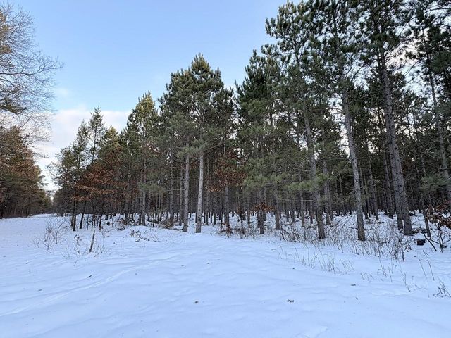West 10 Acres WILDERNESS LANE, Wisconsin Rapids, WI 54494