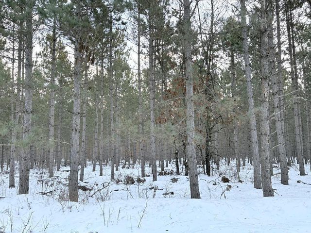 West 10 Acres WILDERNESS LANE, Wisconsin Rapids, WI 54494