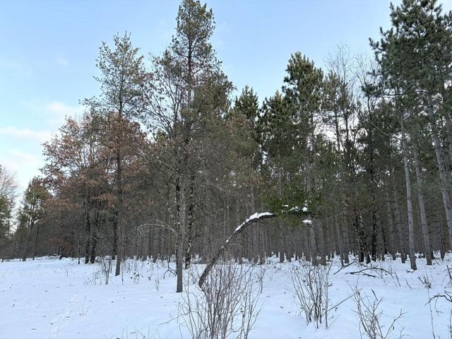 West 10 Acres WILDERNESS LANE, Wisconsin Rapids, WI 54494
