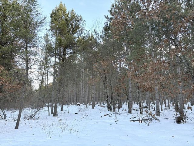West 10 Acres WILDERNESS LANE, Wisconsin Rapids, WI 54494