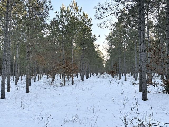 West 10 Acres WILDERNESS LANE, Wisconsin Rapids, WI 54494