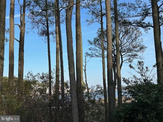 38 SALT GRASS RD, Ocean Pines, MD 21811