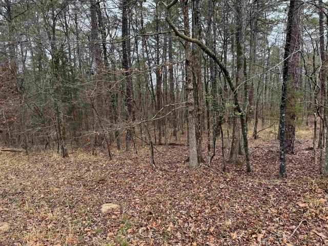 23 BRILLIANTE LANE, Hot Springs Village, AR 71909