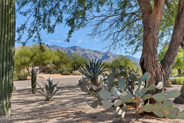 1700 E Calle De La Culebra, Tucson, AZ 85718