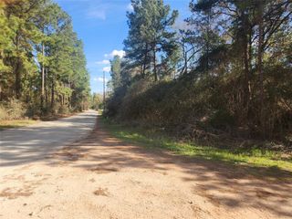 Lot 3 Live Oak Drive, Plantersville, TX 77363