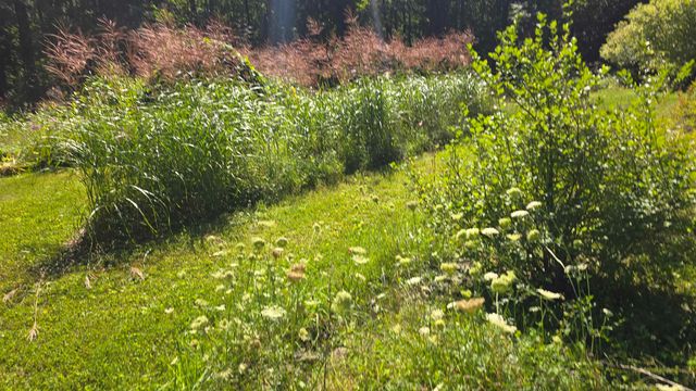 11 Rangeway Road, Deering, NH 03244