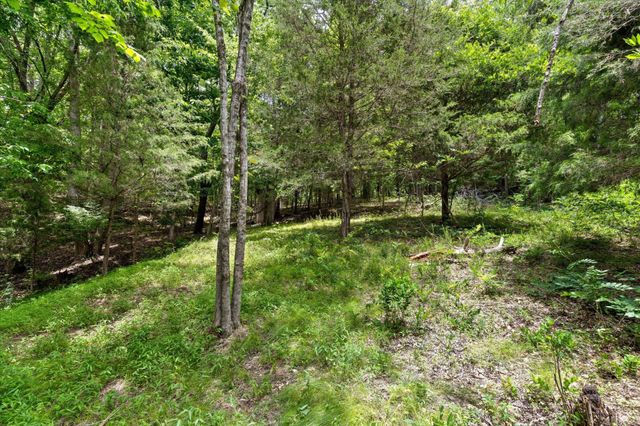 16211 Lakewood Drive, Sale Creek, TN 37373