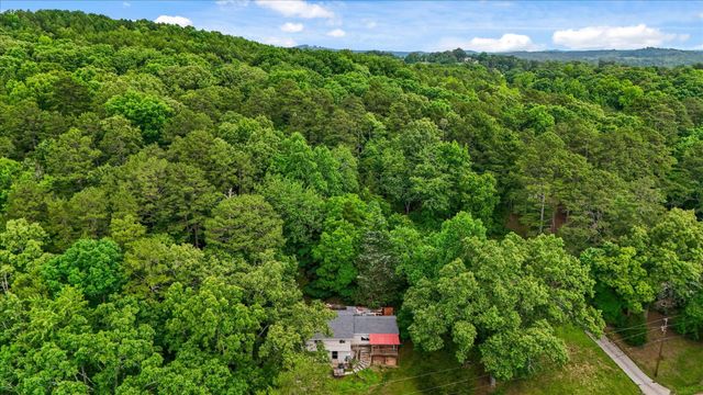 16211 Lakewood Drive, Sale Creek, TN 37373