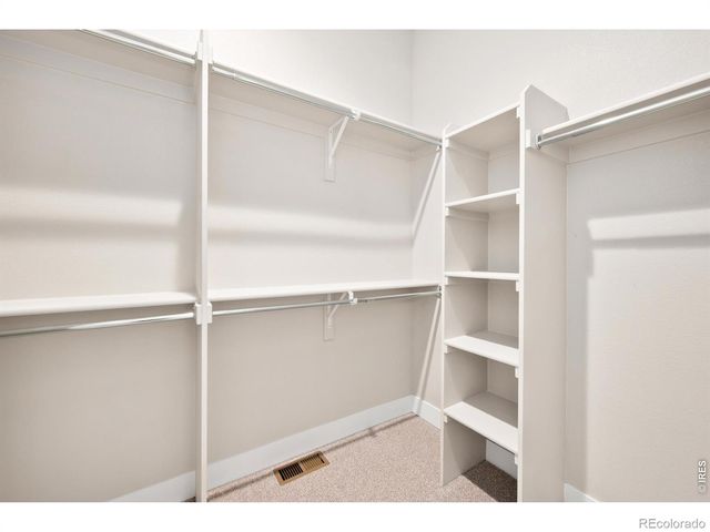 6227 Vernazza Way 1, Windsor, CO 80550