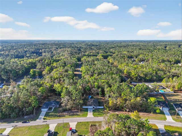 10058 N ATHENIA DRIVE, Citrus Springs, FL 34434