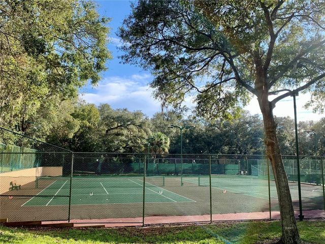 2602 7TH COURT 15, Palm Harbor, FL 34684