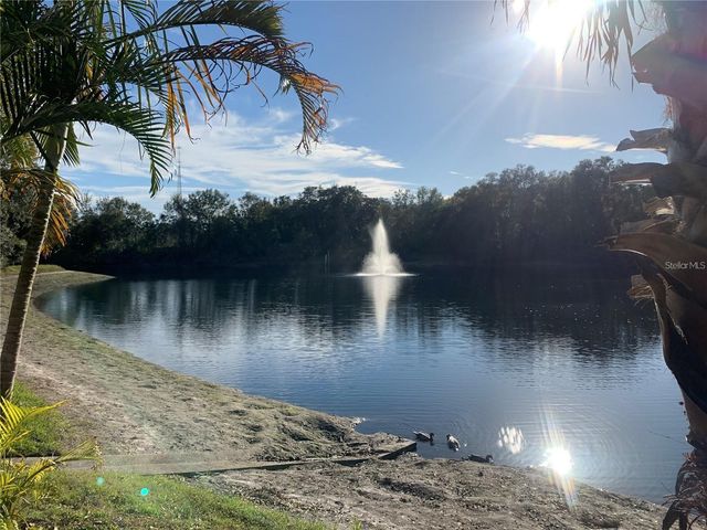 2602 7TH COURT 15, Palm Harbor, FL 34684