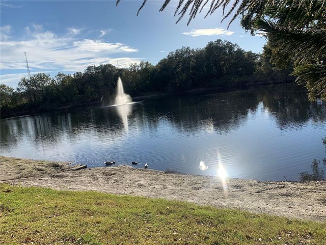2602 7TH COURT 15, Palm Harbor, FL 34684