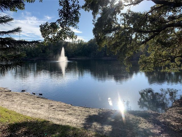 2602 7TH COURT 15, Palm Harbor, FL 34684